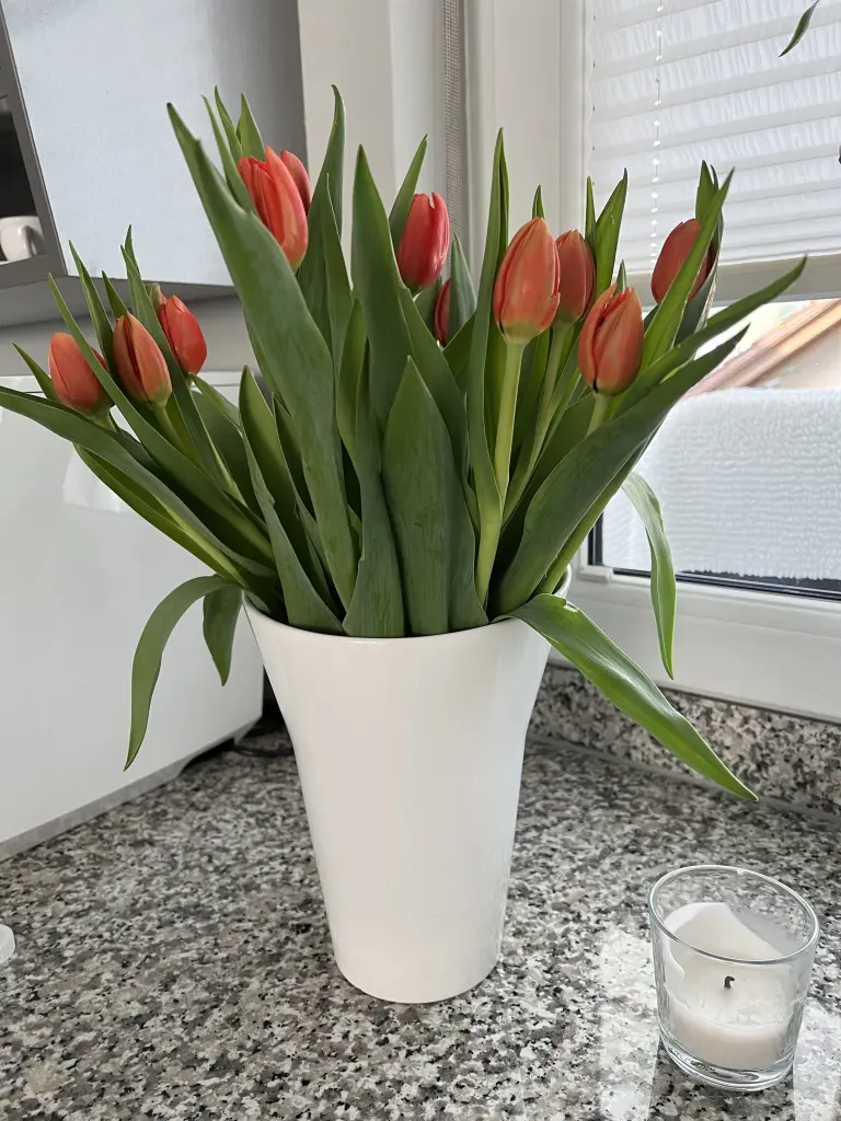 Condolence image of Für Elisabeth ❤️