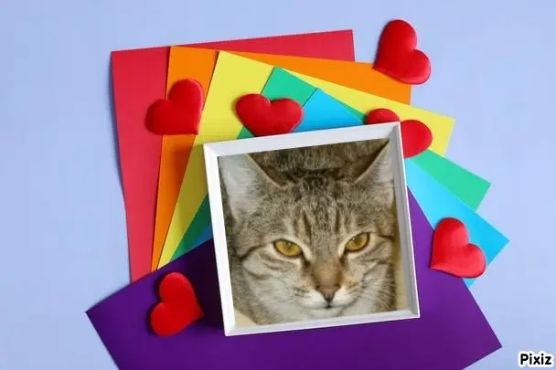 Condolence image of Tanja mit Timmy im Herzen 