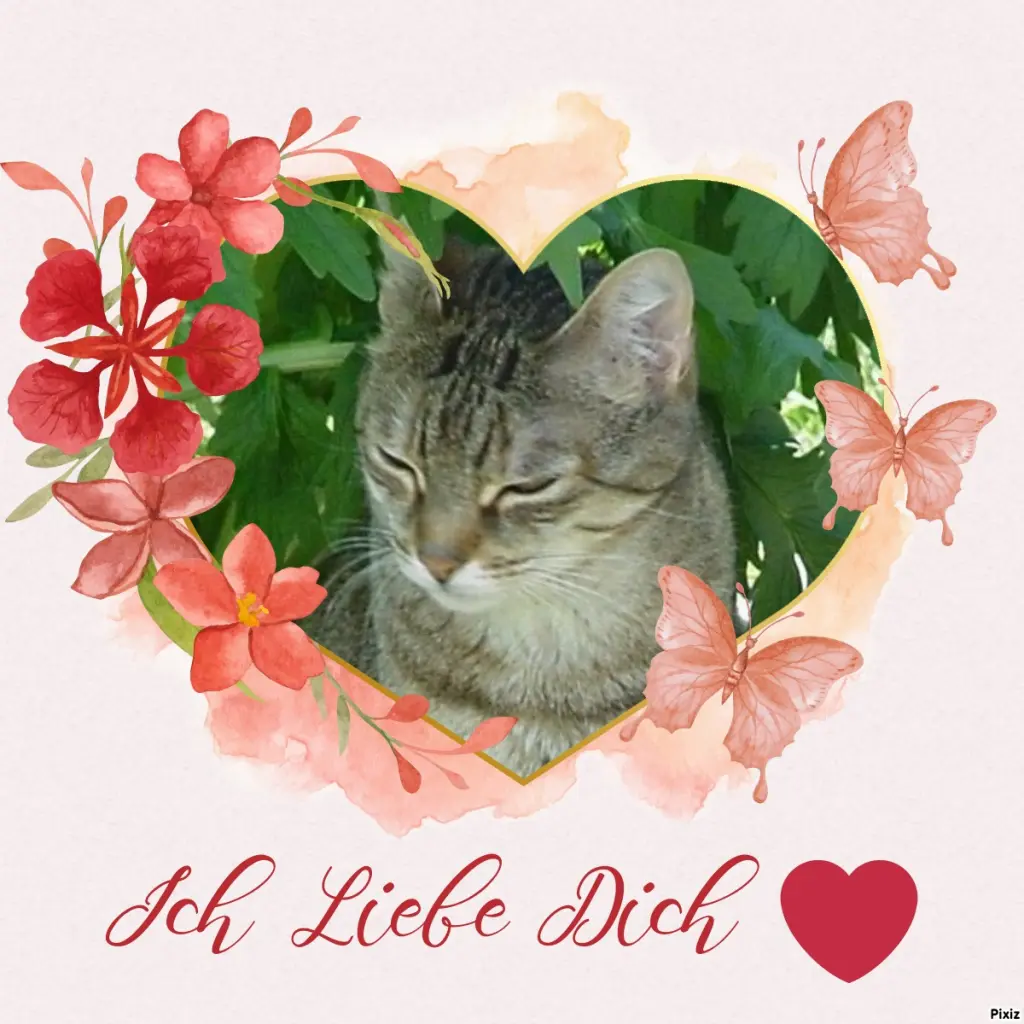 Condolence image of Unbekannt