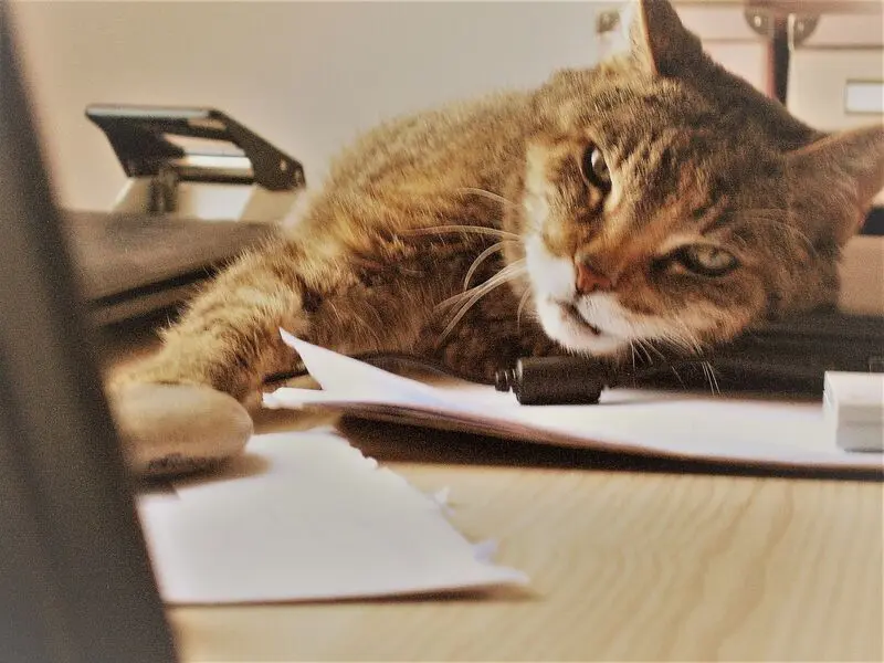 Condolence image of Christie