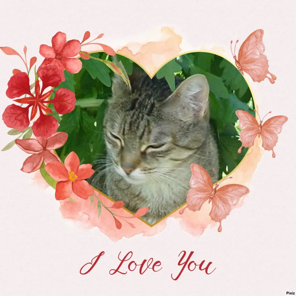 Condolence image of Patricia mit Bunny ❤