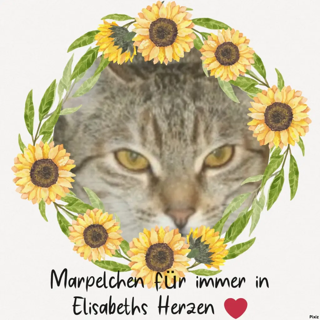 Condolence image of Tanja mit Timmy im Herzen 