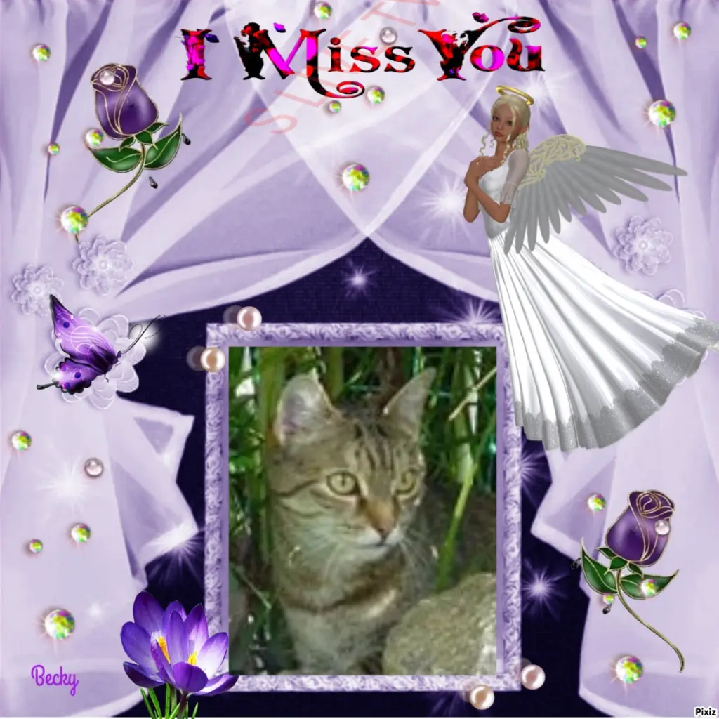 Condolence image of Patricia mit Bunny ❤