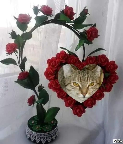 Condolence image of Tanja mit Timmy im Herzen 