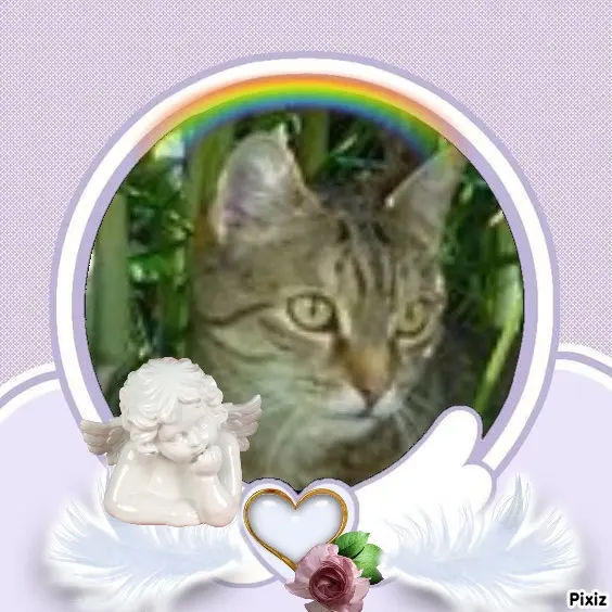 Condolence image of Patricia mit Bunny ❤