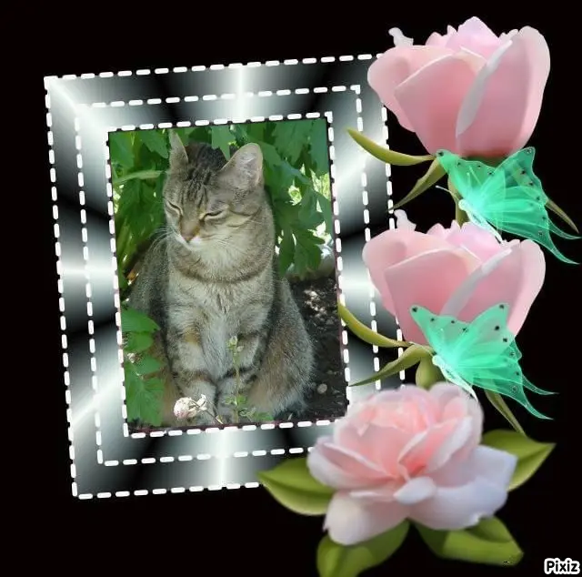 Condolence image of Patricia mit Bunny ❤