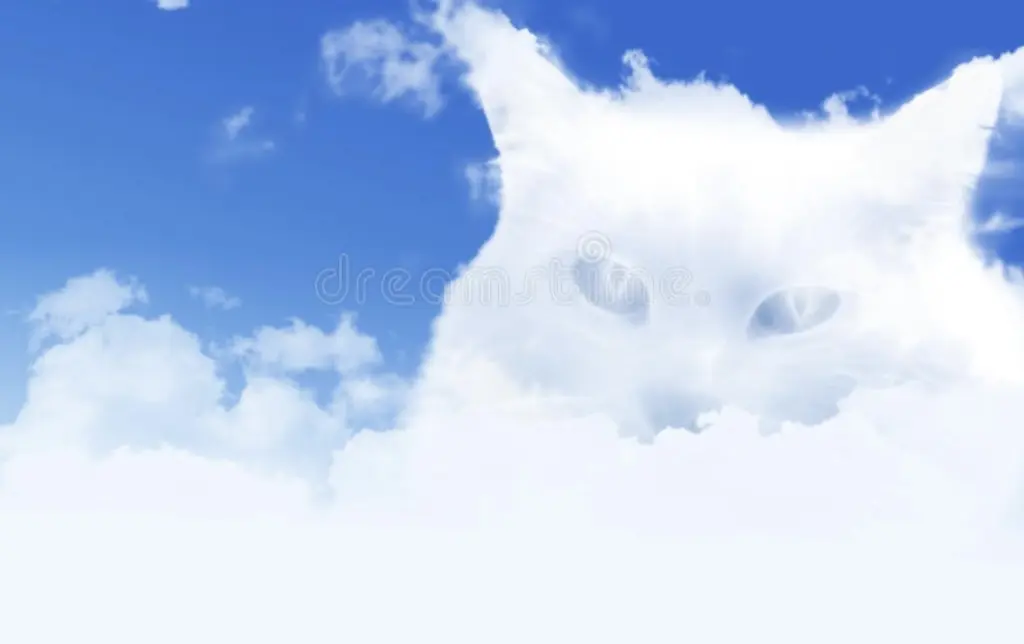 Condolence image of An Marpeli und Mama Elisabeth ❤️