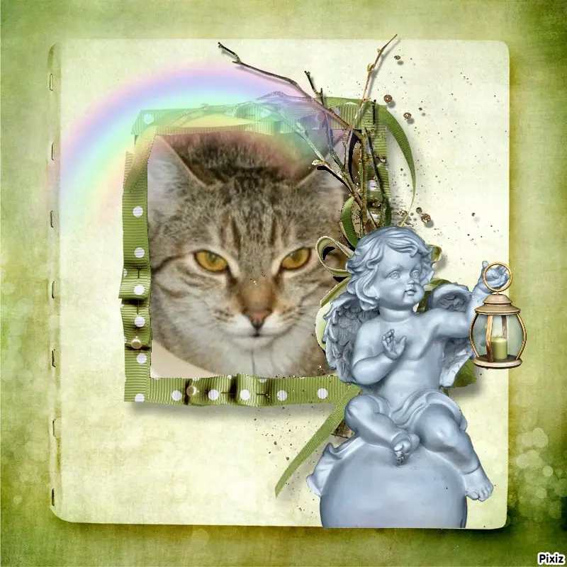 Condolence image of Tanja mit Timmy im Herzen 