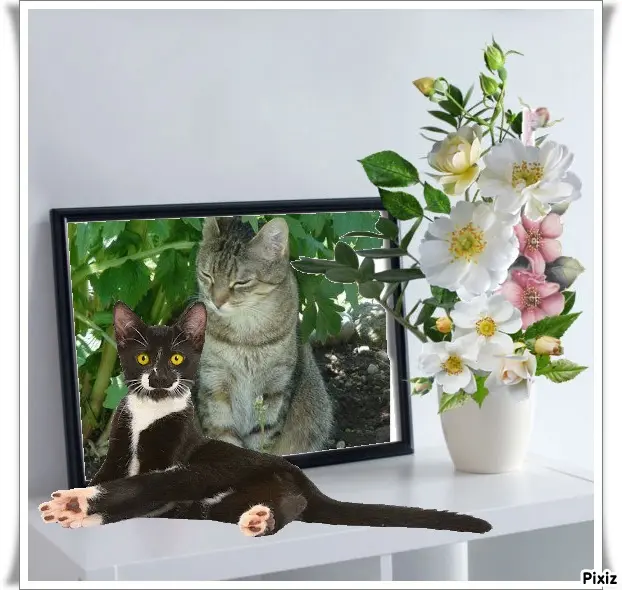 Condolence image of Patricia mit Bunny ❤