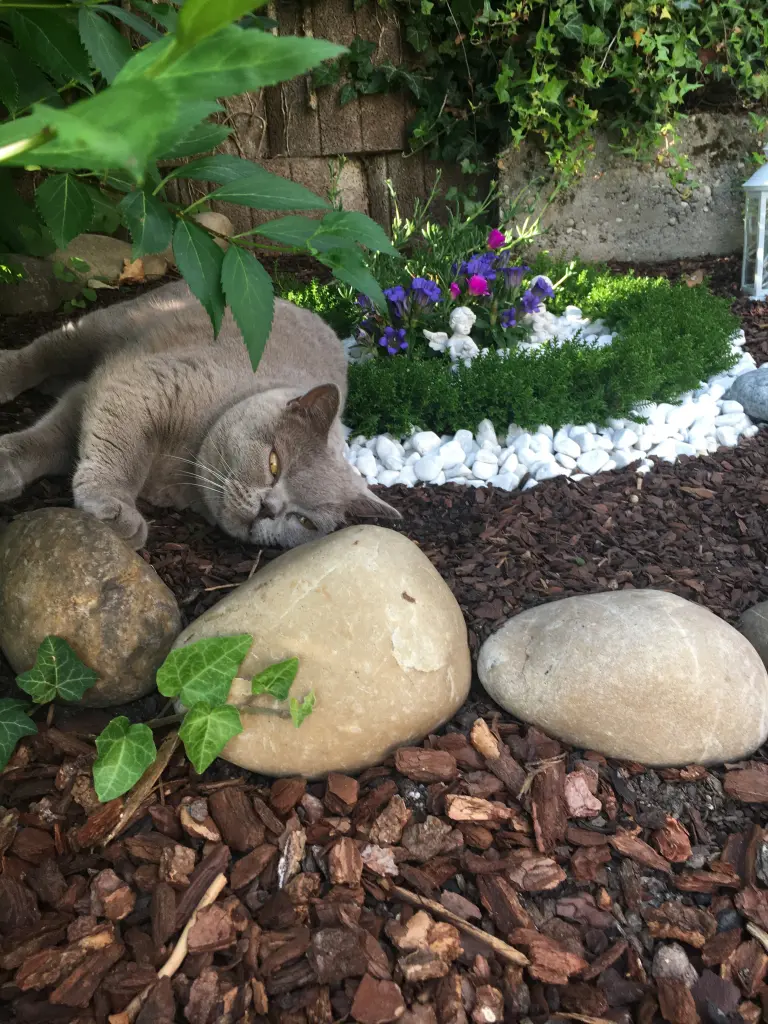 Condolence image of Von Emma an Marple