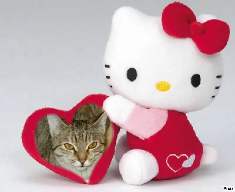 Condolence image of Tanja mit Timmy im Herzen