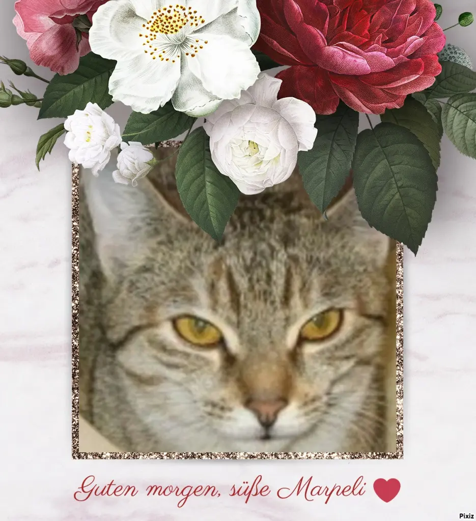 Condolence image of Tanja mit Timmy im Herzen