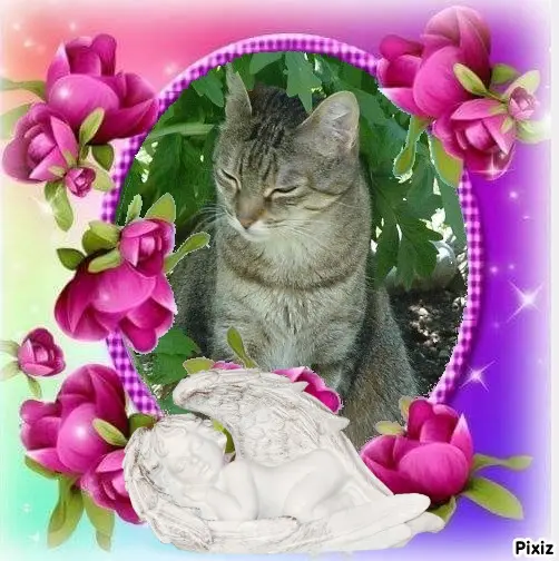 Condolence image of Patricia mit Bunny ❤