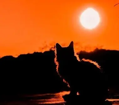 Condolence image of an meine Mädchen