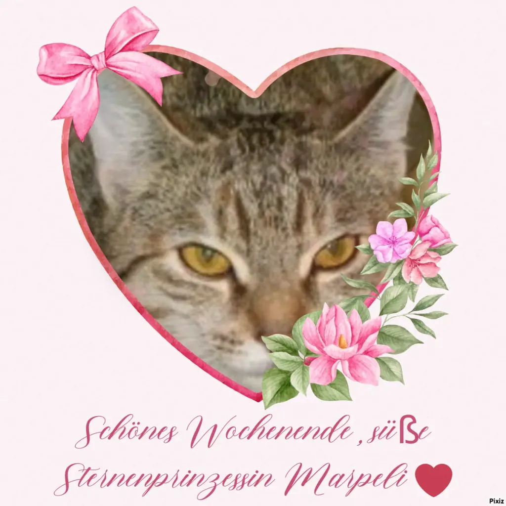 Condolence image of Tanja mit Timmy im Herzen