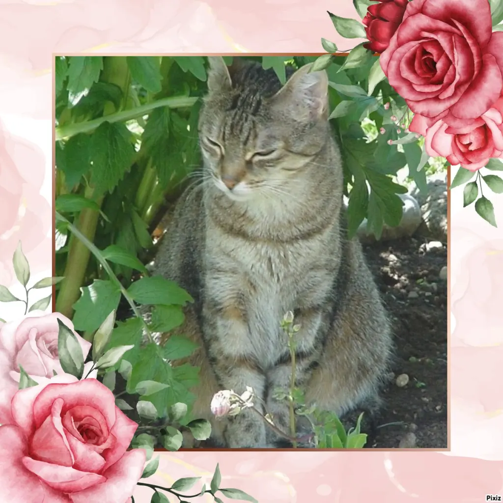 Condolence image of Patricia mit Bunny ❤