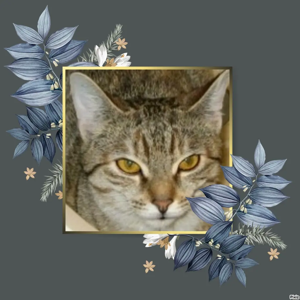 Condolence image of Tanja mit Timmy im Herzen