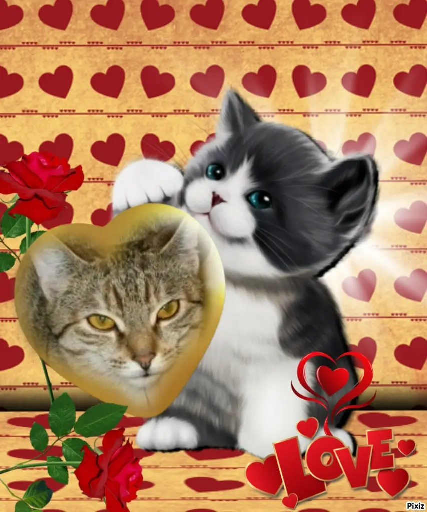 Condolence image of Tanja mit Timmy im Herzen