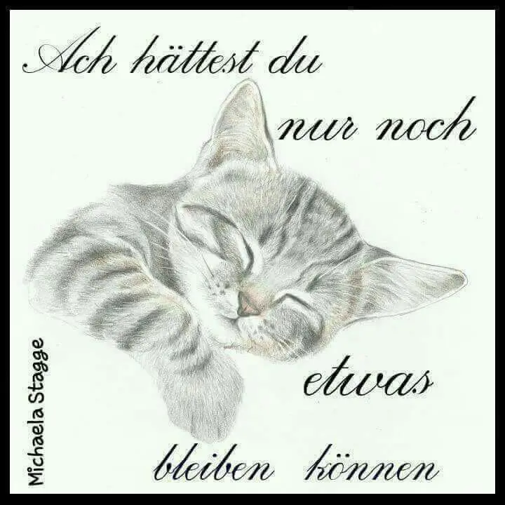 Condolence image of Für das kleine Marpelchen ♥️