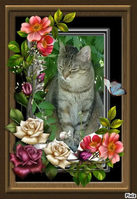 Condolence image of Patricia mit Bunny ❤