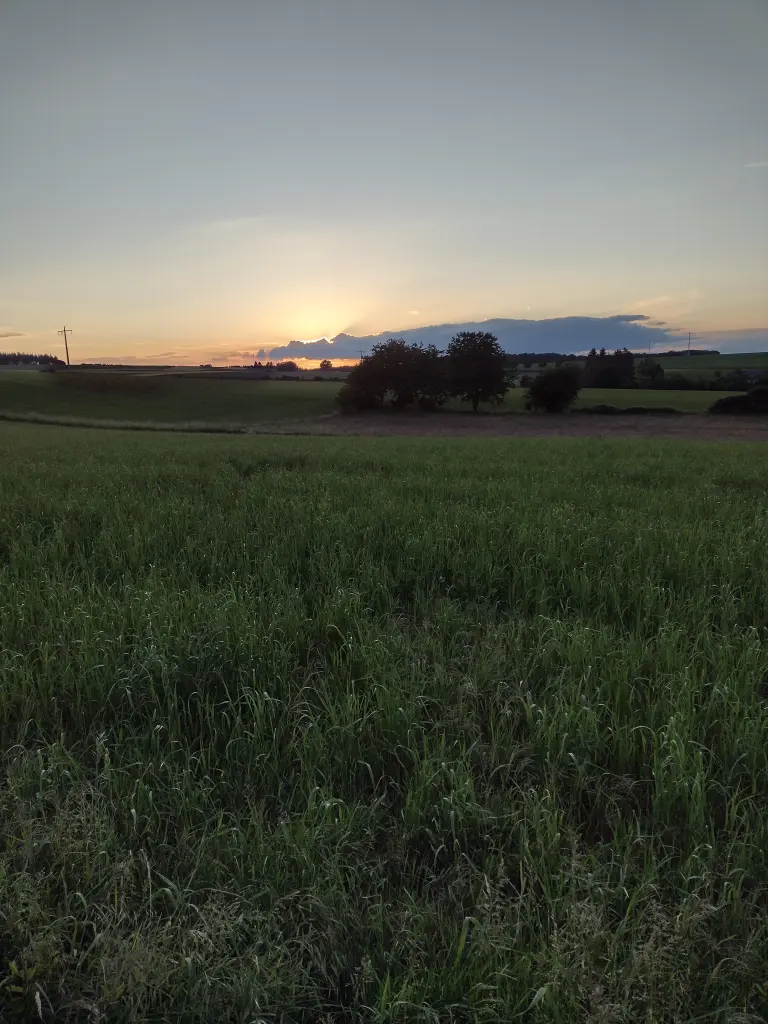 Condolence image of  Von Emma an Marple