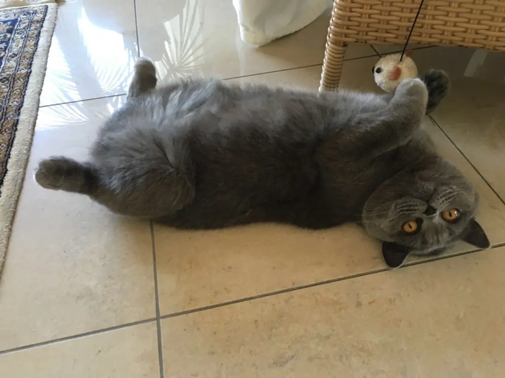 Condolence image of Emma