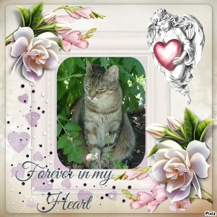 Condolence image of Patricia mit Bunny ❤