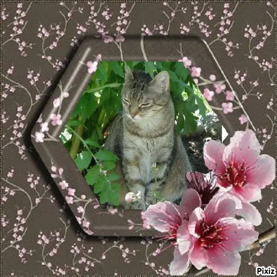 Condolence image of Patricia mit Bunny ❤