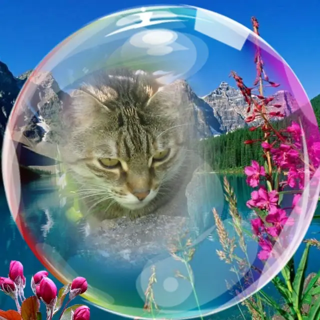 Condolence image of Pflingsten❤️❤️❤️Rosen❤️❤️❤️❤️❤️❤️❤️