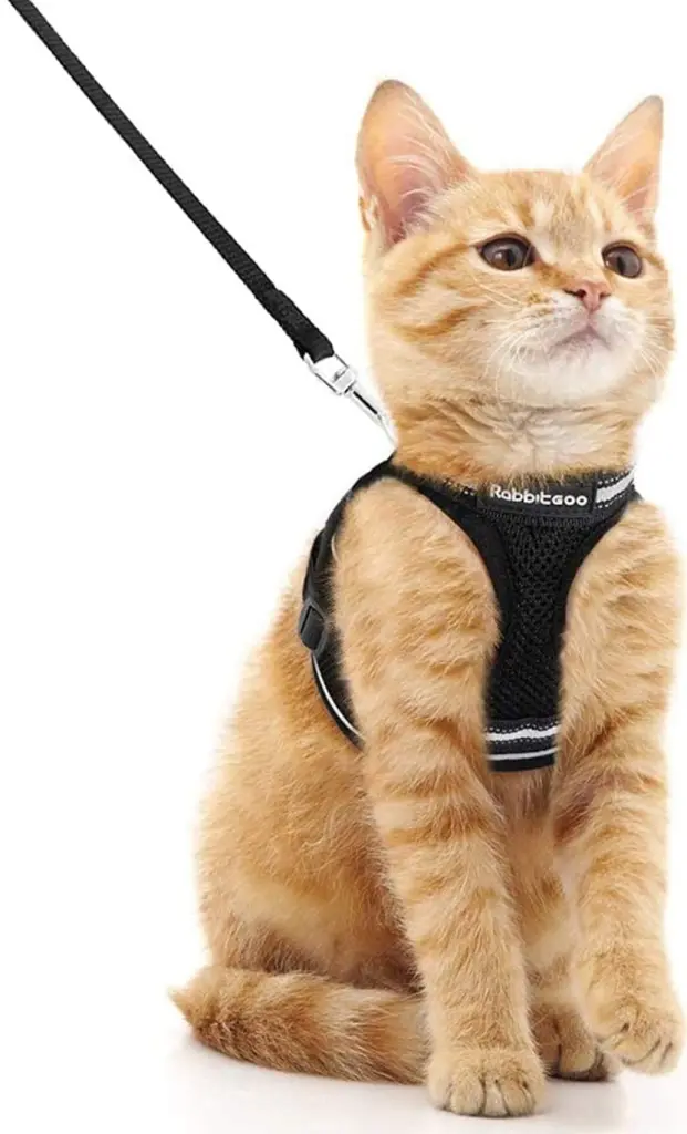 Condolence image of Pauline  an meine Freundin Marple ❤️