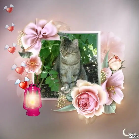 Condolence image of Patricia mit Bunny ❤