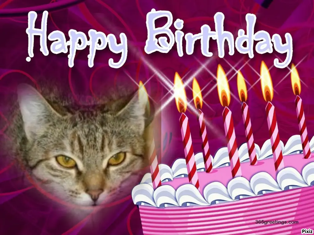 Condolence image of Tanja mit Timmy im Herzen 