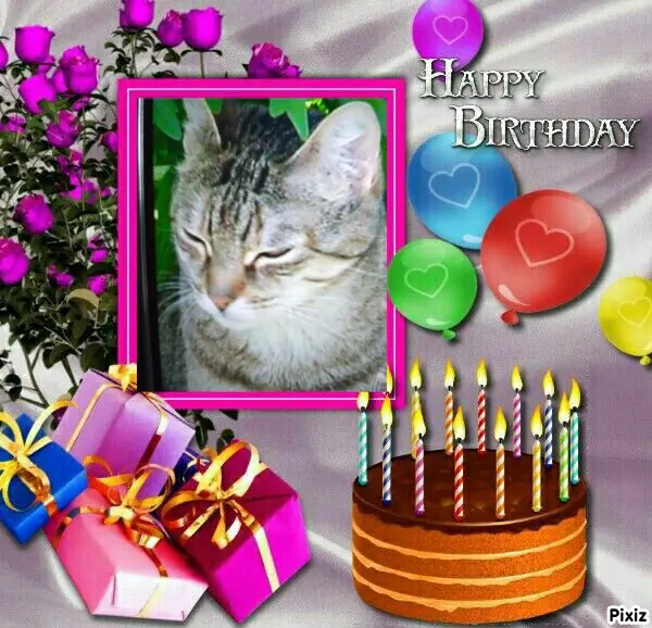 Condolence image of Für das kleine Geburtstagssternchen Marple ♥️