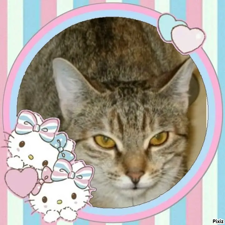 Condolence image of Tanja mit Timmy im Herzen