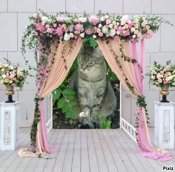 Condolence image of Patricia mit Bunny ❤