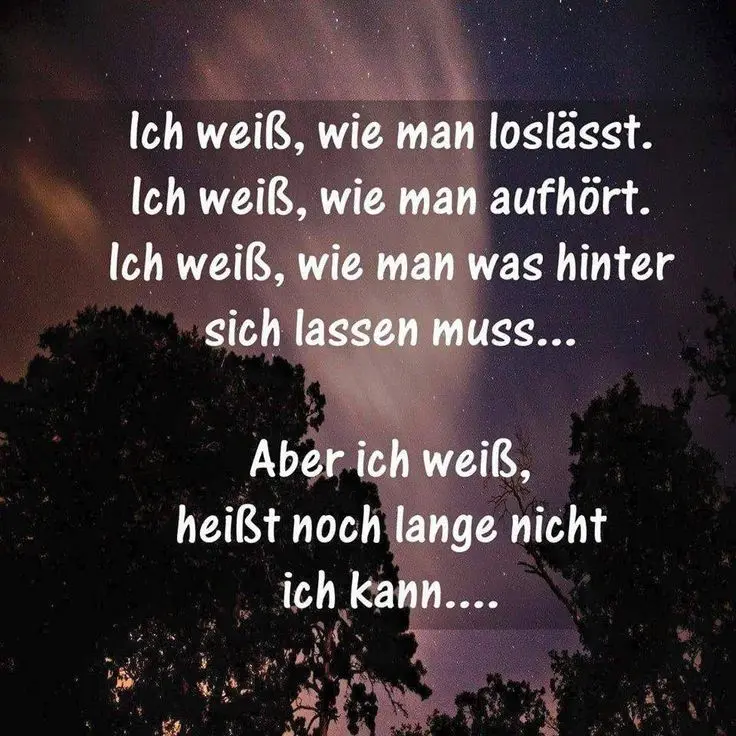 Condolence image of Für das kleine Engelchen Marple ♥️