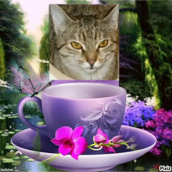 Condolence image of Tanja mit Timmy im Herzen