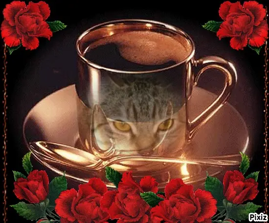 Condolence image of Tanja mit Timmy im Herzen