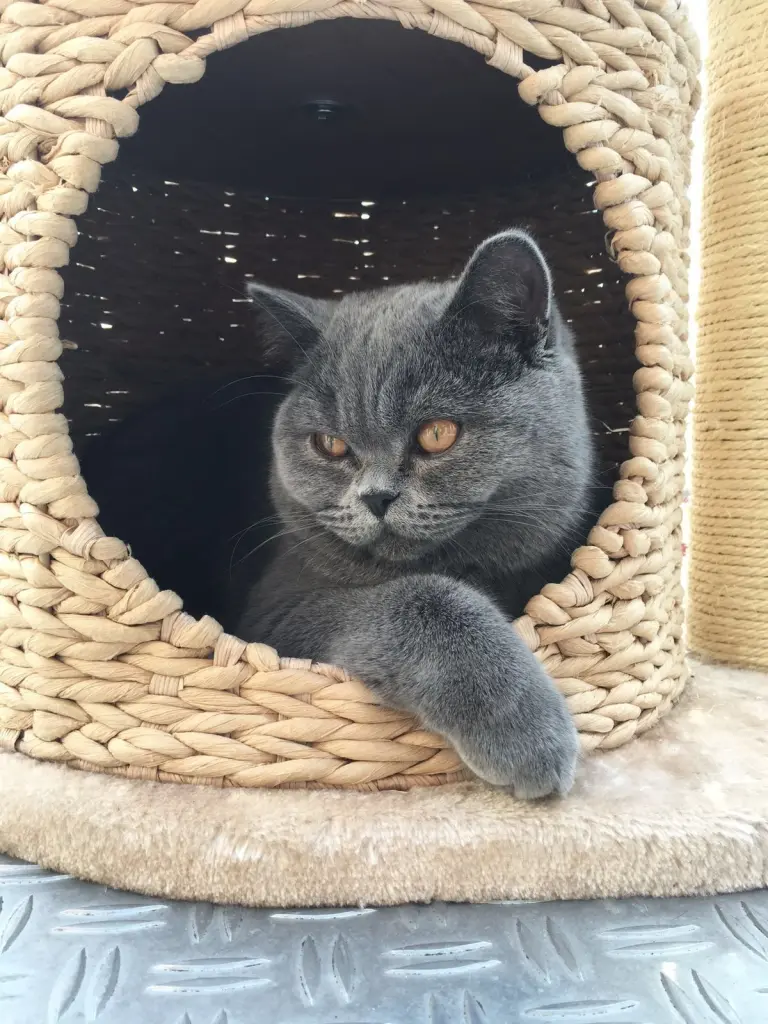 Condolence image of An Marple und Mama Elisabeth