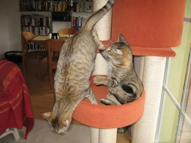 Condolence image of Christie und Elisabeth