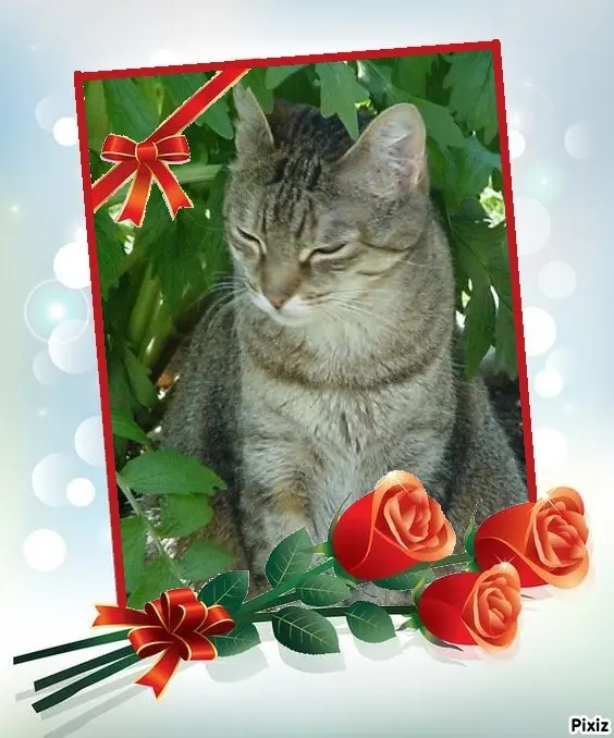 Condolence image of Patricia mit Bunny ❤