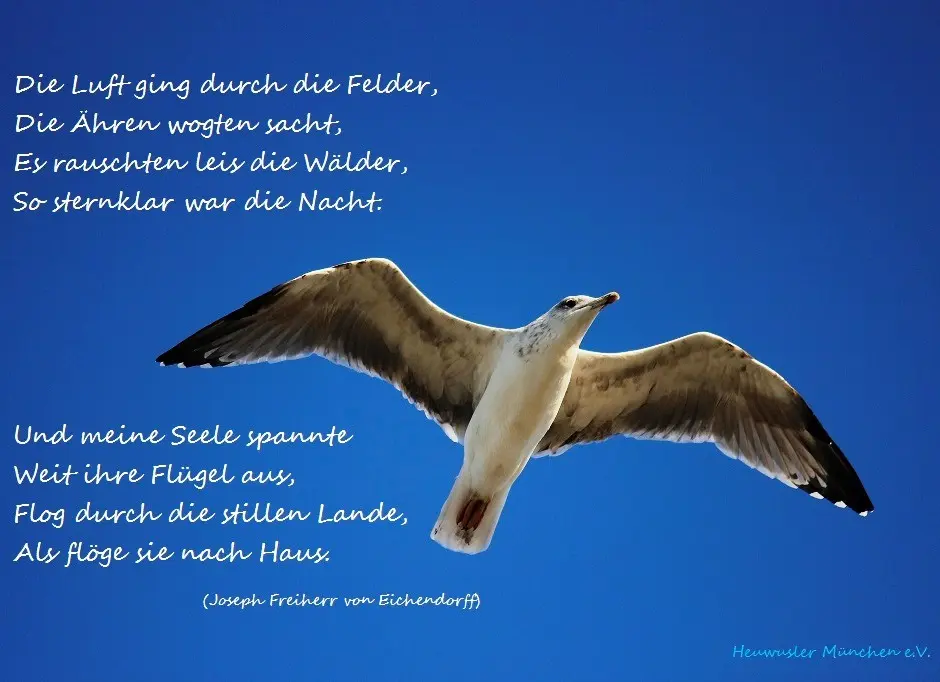 Condolence image of für mein kleines Mädchen