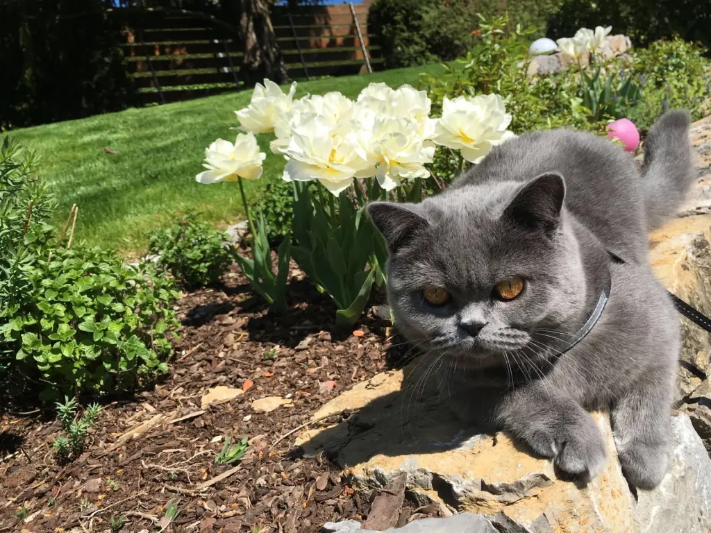 Condolence image of An Marple und Mama Elisabeth 