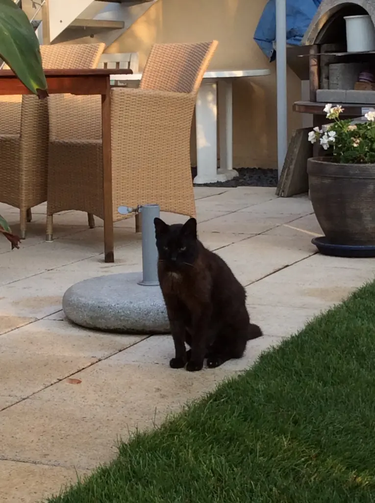 Condolence image of Benny 