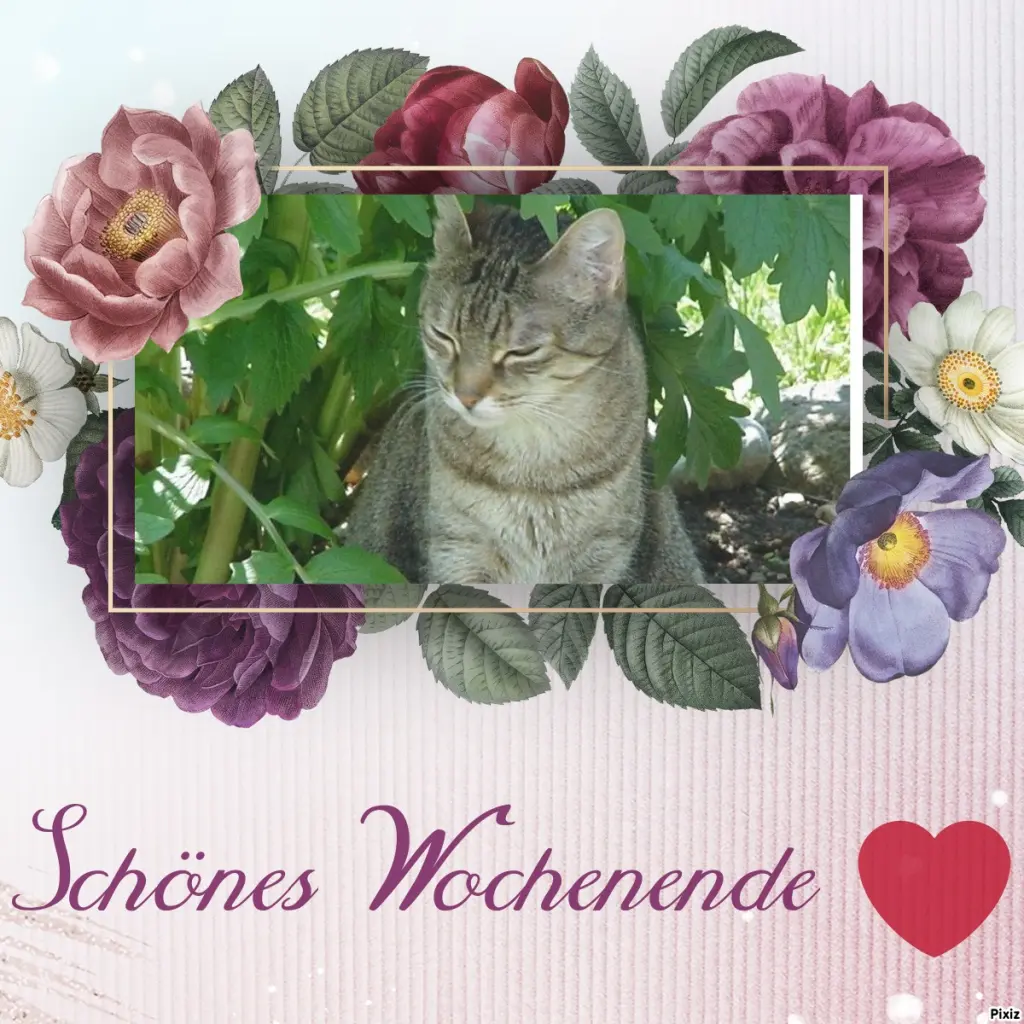 Condolence image of Patricia mit Bunny ❤