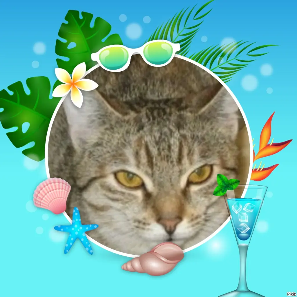 Condolence image of Tanja mit Timmy im Herzen 