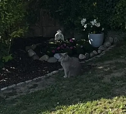 Condolence image of An Marple und Elisabeth 