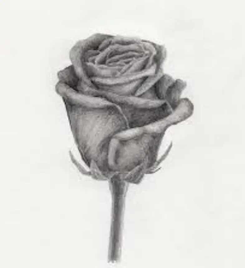 Condolence image of Pauline an Marpelchen und Mami Elisabeth