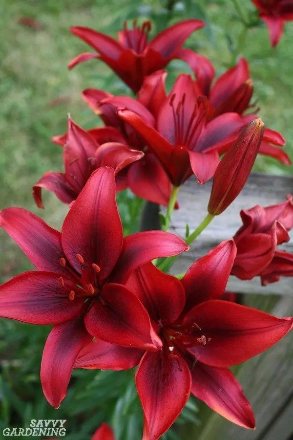 Condolence image of Für die süße Marpeli ♥️