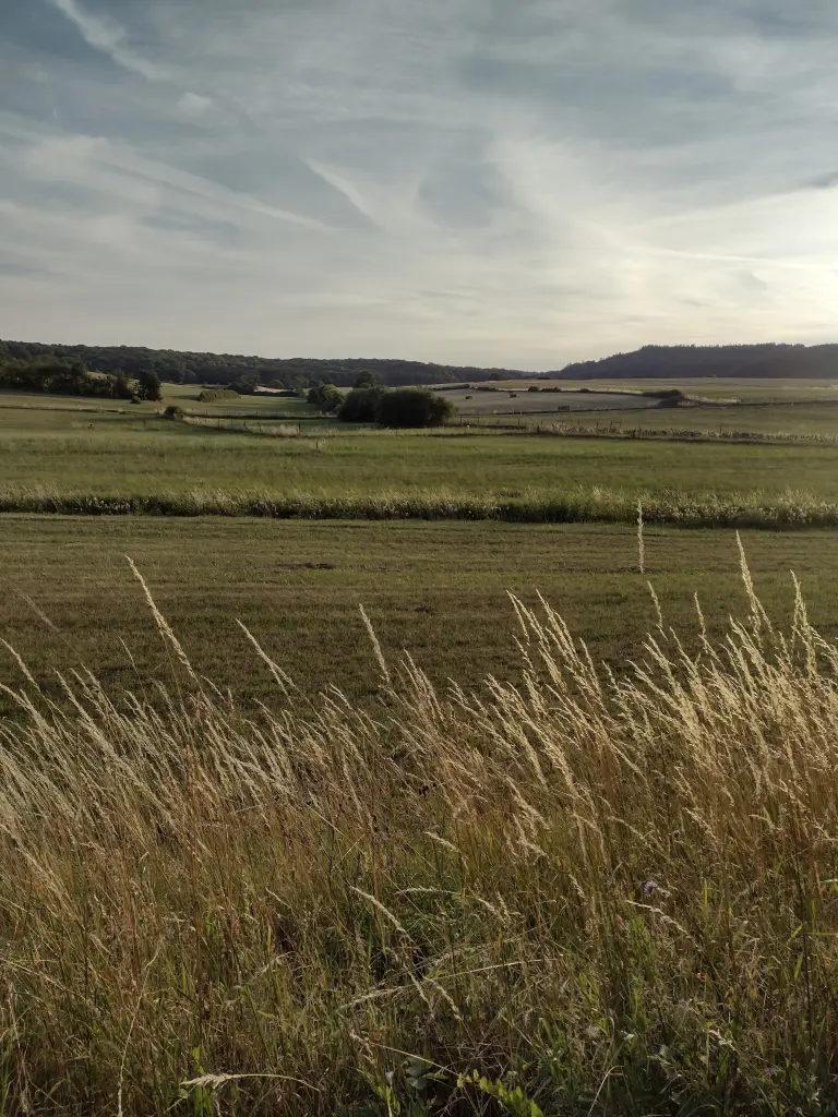 Condolence image of Von Pummelchen von ♥️